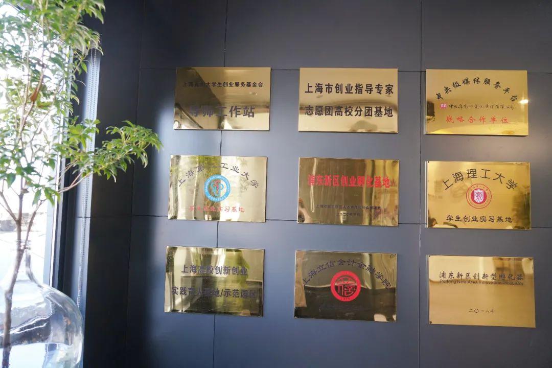 制定发展战略,主要吸纳移动互联网,信息科技类,文化创意类等产业项目